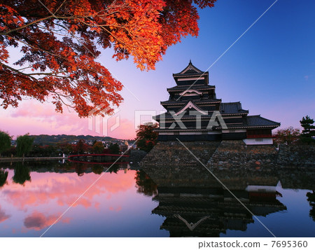 松本城堡在早晨煥發秋天 7695360