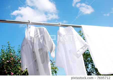 Laundry swaying in the wind and blue sky 7695712