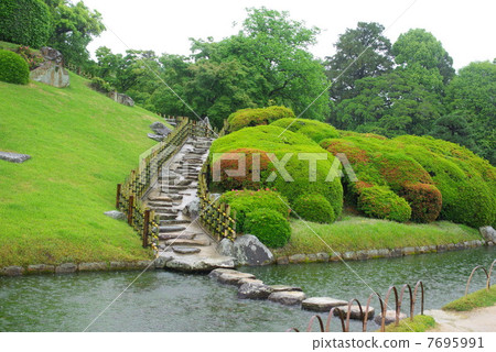 Kogaru Garden of the rainy season 7695991