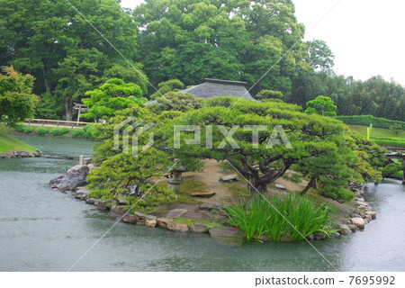 Kogaru Garden of the rainy season 7695992