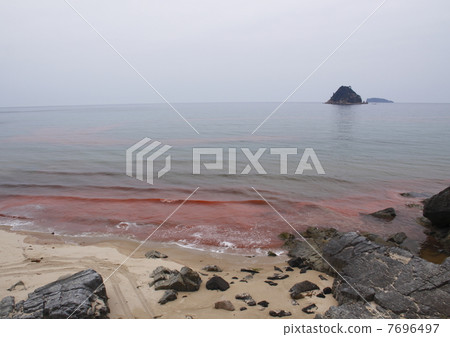 red tide red tide 7696497