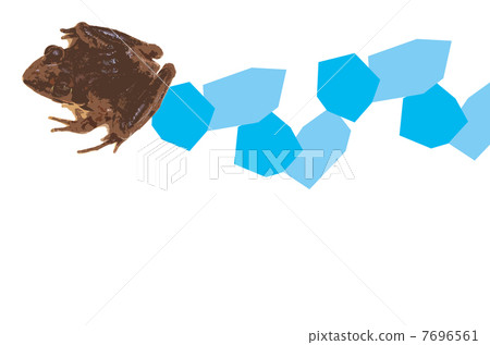 A frog 7696561