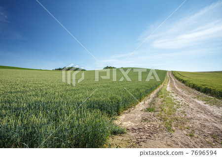 Beyond that hill 7696594