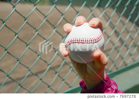 Baseball Ball 7697278