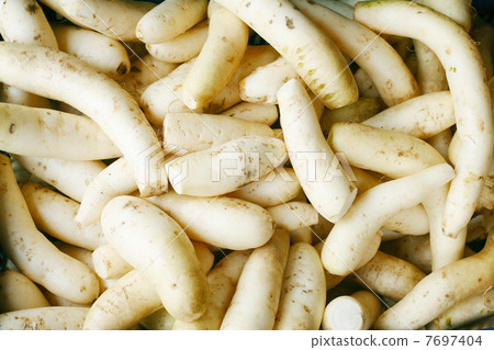 Daikon radish background Daikon radish background 7697404