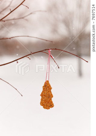 Bird seeds 7697514