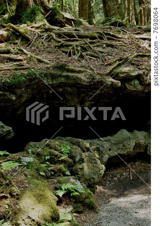 Natural landscape · Lava shelf made at the time of eruption of Mt. Fuji · Vertical position 7698064