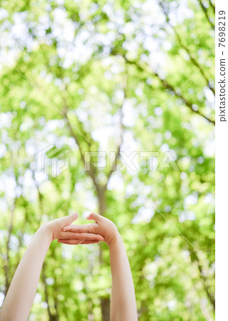 To stretch out in the forest 7698219
