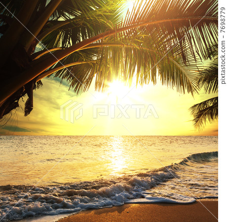 Tropical beach 7698779