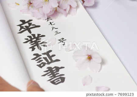 畢業形象櫻花和文憑 7699123