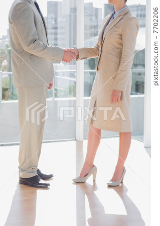 Business team shaking hands Business team shaking hands 7702206
