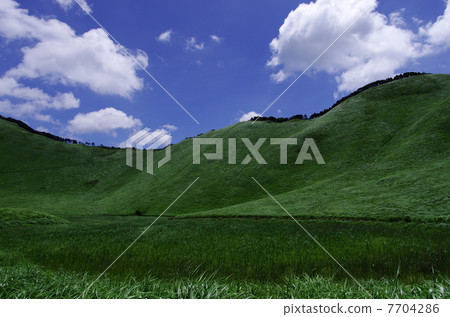 Zenji plateau 4 7704286