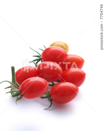 Mini tomato with branches Mini tomato with branches 7704746