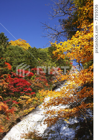 栃木縣·秋季日光瀑布 7705036