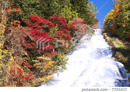 栃木縣·秋季日光瀑布 7705037