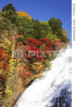 Tochigi prefecture · Autumn Nikko Waterfall 7705038