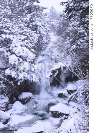 Tochigi prefecture · Okunikko Ryuu waterfall snow scene 7705070