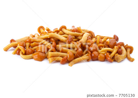 Some marinated honey agarics 7705130