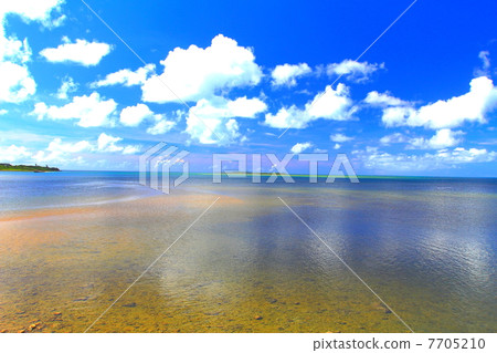 Kukai of Iriomote Island Kukai of Iriomote Island 7705210