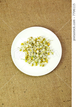 抗衰老草本·新鮮幹洋甘菊花/亞麻袋回頂上垂直位置在白色平板上 7706115