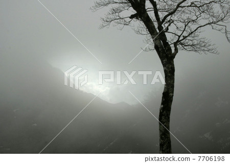 Azumayama before dawn Azumayama before dawn 7706198