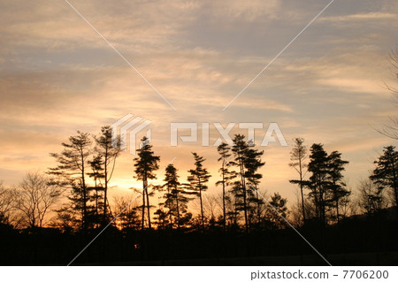 Sunrise Sunrise 7706200