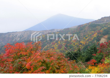 福島市地平線秋葉 7706204