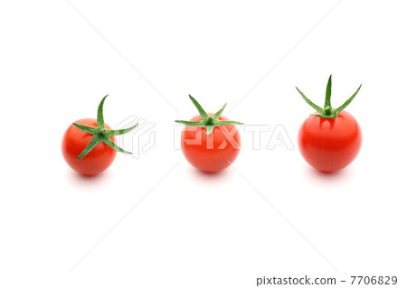 Tomato tomato 7706829