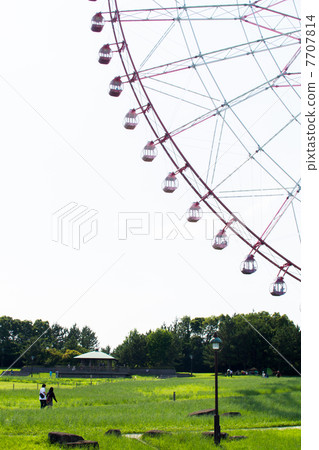 Ferris wheel Ferris wheel 7707814