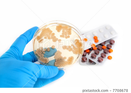 fungi on agar plate and pills 7708678