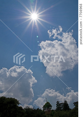 烈日（仲夏景觀） 7708968