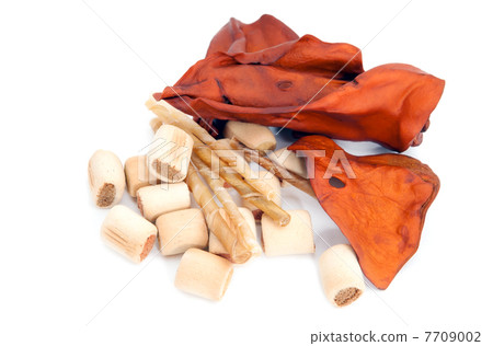 tasty dry treats for dogs tasty dry treats for dogs 7709002