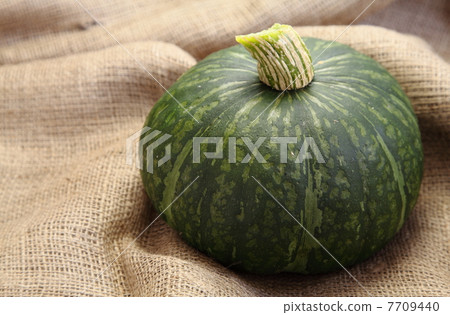 黑色皮革栗子南瓜 7709440