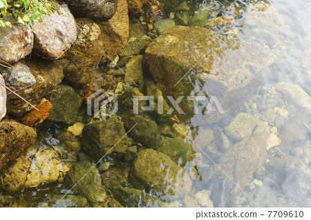 River fish of Oze River 7709610