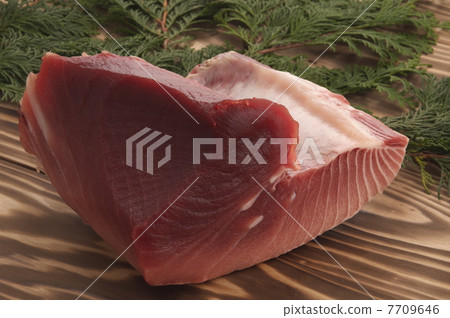 Tuna in the tuna Tuna in the tuna 7709646