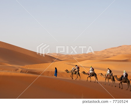 Sahara Desert 7710524