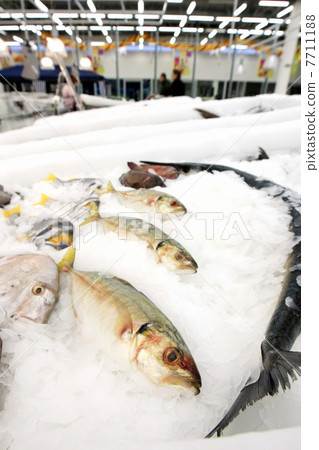 fish market fish market 7711188