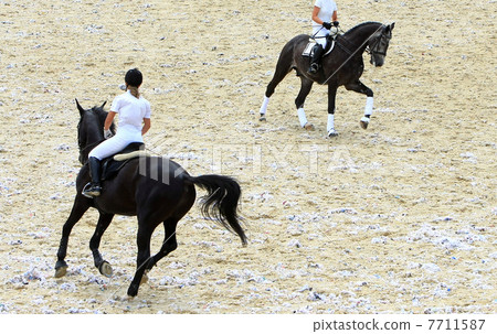jokey on dressage horse jokey on dressage horse 7711587