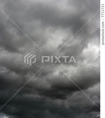 storm storm 7711731