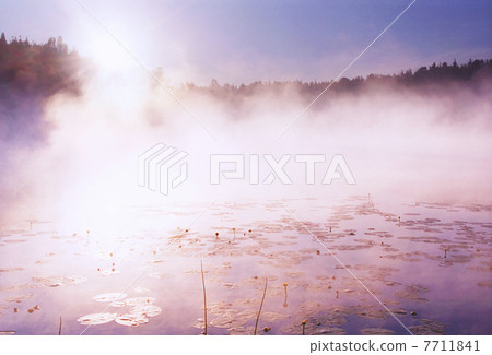 Morning fog on wild forest lake in Karelia Morning fog on wild forest lake in Karelia 7711841