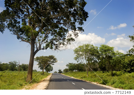 Country road in Sri Lankan 7712149