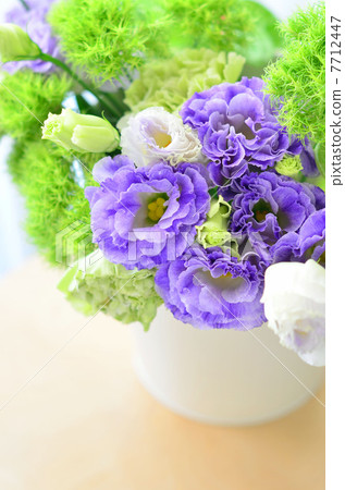 Arrangement of Turkey Powder 7712447