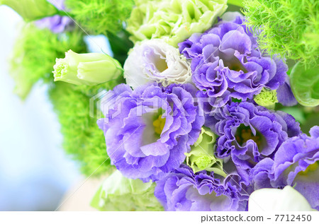 土耳其粉末的安排 7712450