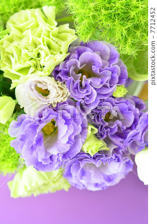 土耳其粉末的安排 7712452