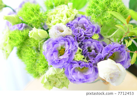 土耳其粉末的安排 7712453