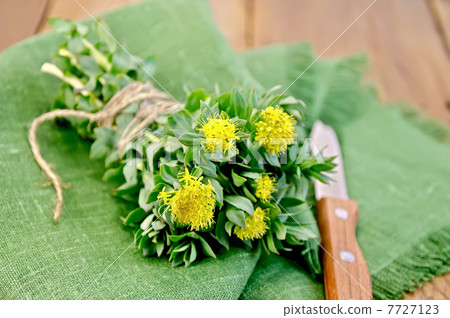 Rhodiola rosea on the board with a knife 7727123