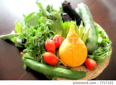 Summer vegetable Summer vegetable 7727181