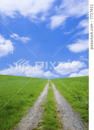 草原和道路 7727651