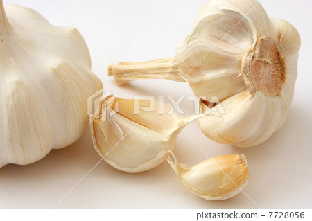 garlic  7728056