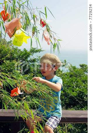 Bamboo decorations and children in Tanabata Bamboo decorations and children in Tanabata 7729254